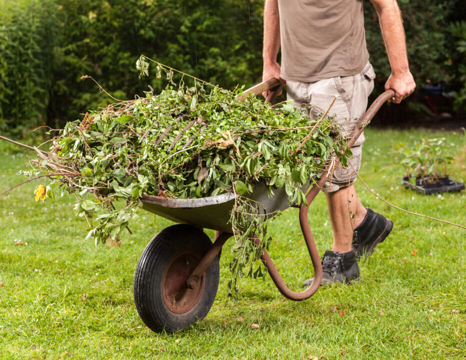 Garden clearance service Chesterfield Derbyshire