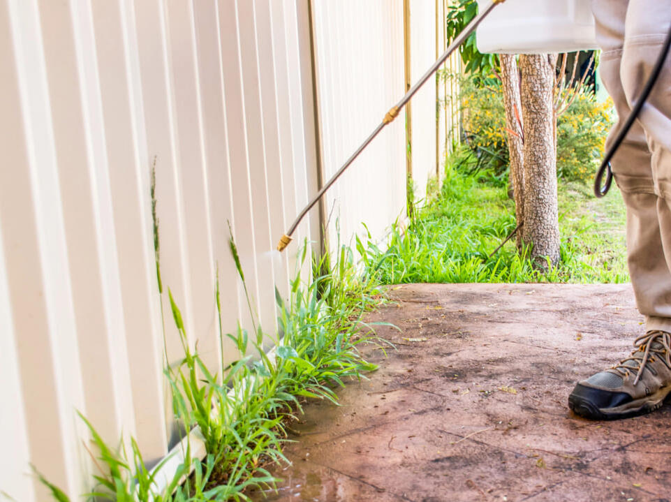 Weed spraying service Chesterfield Derbyshire