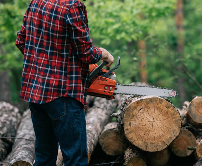 Tree removal service Chesterfield Derbyshire