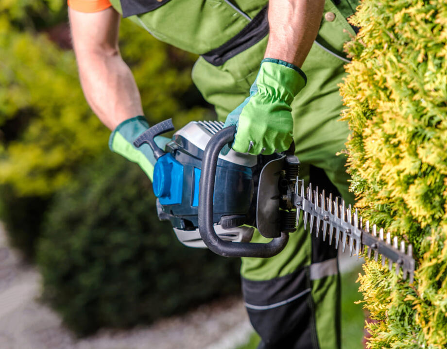 Hedge cutting service Chesterfield Derbyshire